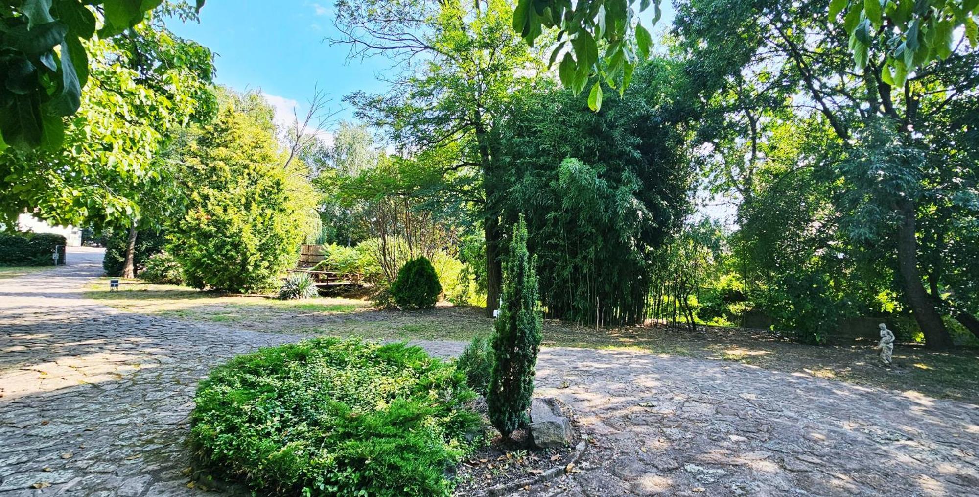 Levendula Resort Es Rendezvenykoezpont Bogács Exterior foto